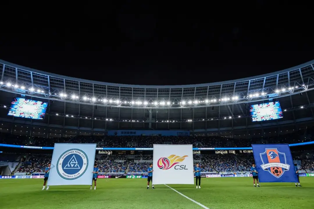 投资人投入 投资人投入